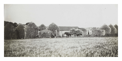 Tower Mains Farm, Liberton