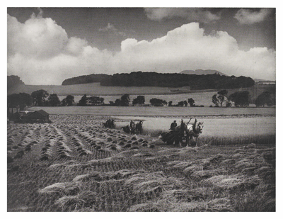 A harvesting scene near Craigmillar Castle