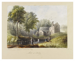 Mill of Tealing