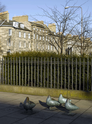 Pigeon sculpture, Elm Row, Edinburgh