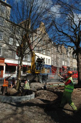Planting of a new tree in the Grassmarket, Edinburgh