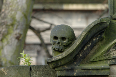 Detail of skull on tombstone