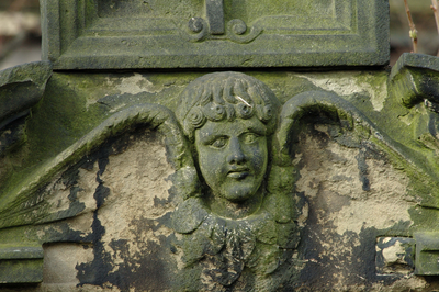Detail of cherub on tombstone