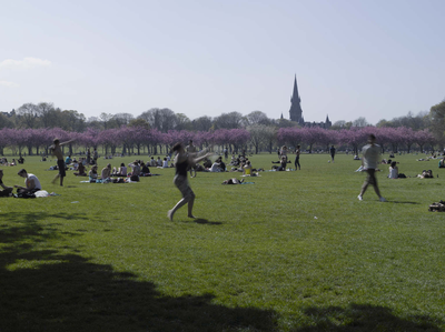Students revising on a sunny day in the Meadows