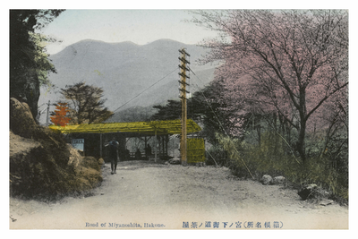 Road of Miyanoshita, Hakone