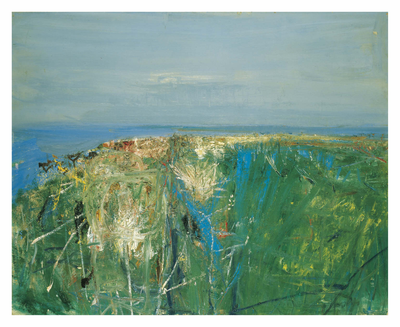 Summer grasses and barley on the cliff top