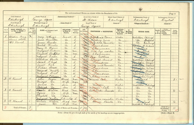 Census record for 1901, 11. Vennel, Edinburgh