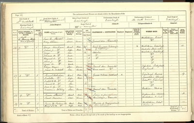 Page from 1891 Census, Parish of St Cuthbert, Edinburgh