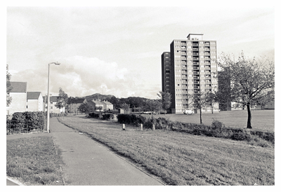 Firhill Drive and Tower Block in Capelaw Court