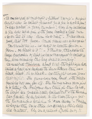 Page 117 from Ethel Moir Diary, Vol 1