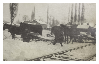 Winter in Russia- Jan 1917 