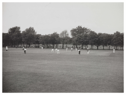Inverleith Park, Cricket pitch
