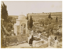 The garden of Gethsemane