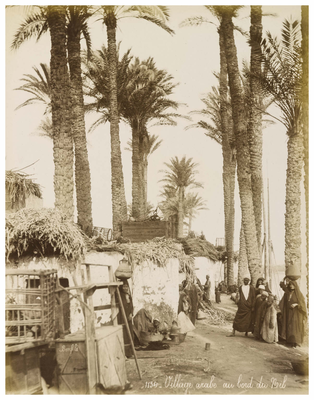 Arab village on the bank of the Nile
