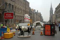 Cow Parade sculpture on the High Street