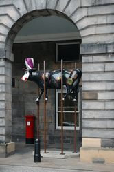 Cow Parade sculpture at City Chambers Edinburgh