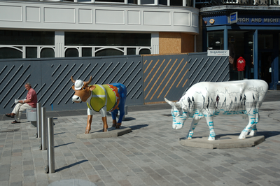 Cow Parade sculpture at the foot of Castle Street