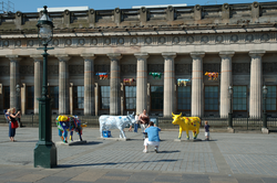 Cow Parade sculptures the Royal Scottish Academy
