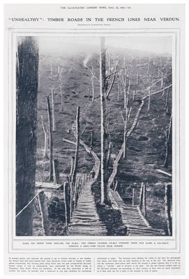 Timber roads in the French lines near Verdun