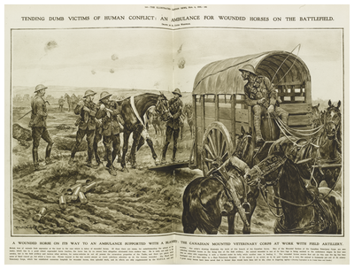An ambulance for wounded horses on the battlefield