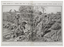 Women Gardeners Tending Soldiers' Graves