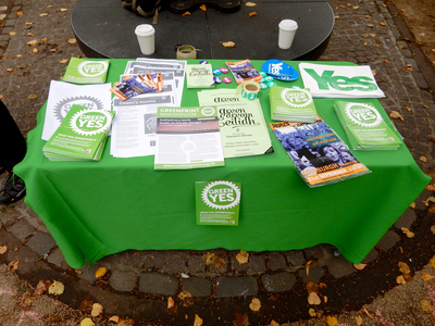 The Green Party's literature stall, Middle Meadow Walk