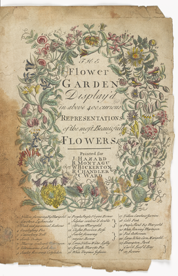 Frontispiece from 'The Flower Garden Display'd' 