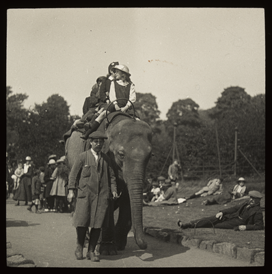 Elephant ride, Edinburgh Zoo