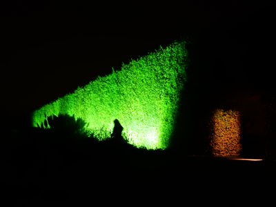 Royal Botanic Garden, Edinburgh - Night in the Garden