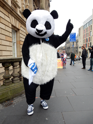 Yes panda outside polling station on George IV Bridge