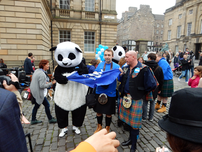 Yes panda, with Yes supporters on the High Street