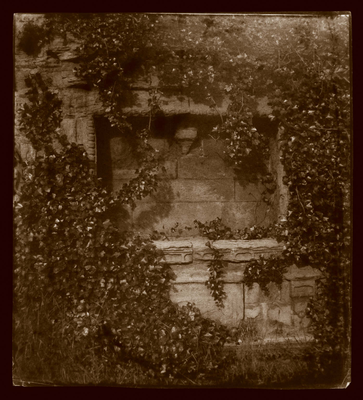 Unidentified leafy tombstone