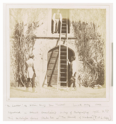 'The Ladder', Lacock Abbey