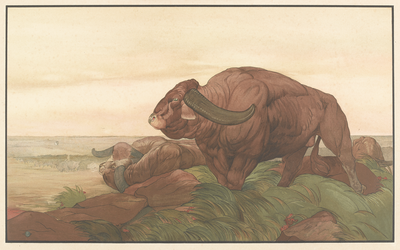 The return of the Buffalo herd, Kipling's Jungle Book