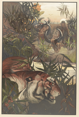 Shere Khan in Jungle, Kipling's Jungle Book