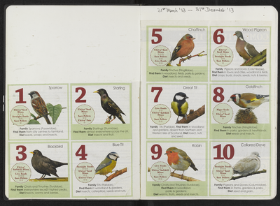 Pictorial list of garden birds, Sitooterie 2