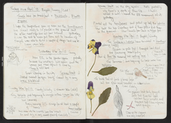 Journal entry for 26th - 29th April 2013, Sitooterie