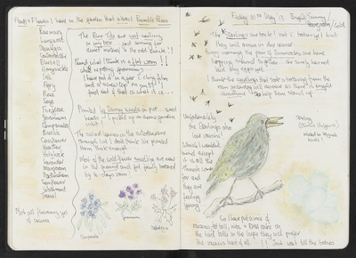 Journal entry for 9th - 10th May 2013, Sitooterie 2