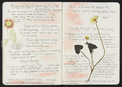 Journal entry for 20th - 22nd May 2013, Sitooterie 2
