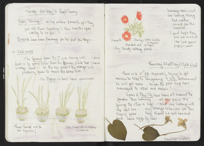 Journal entry for 21st - 23rd May 2013, Sitooterie 2