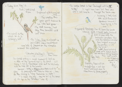 Journal entry for 24th - 25th May 2013, Sitooterie 2
