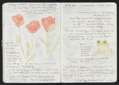 Journal entry for 11th - 12th June 2013, Sitooterie 2