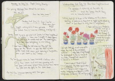 Journal entry for 1st - 3rd July 2013, Sitooterie 2
