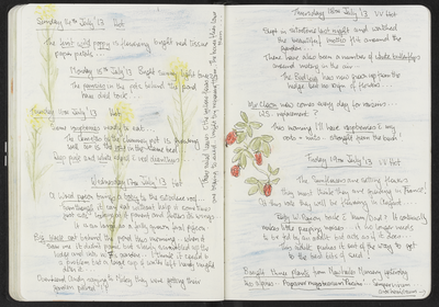 Journal entry for 14th - 19th July 2013, Sitooterie 2