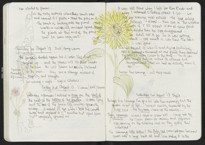 Journal entry for 1st - 3rd August 2013, Sitooterie 2
