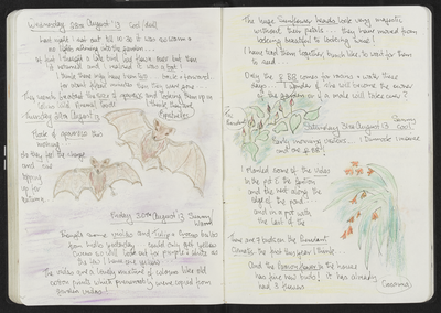 Journal entry for 28th - 30th August 2013, Sitooterie 2