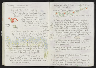 Journal entry for 5th - 7th October 2013, Sitooterie 2