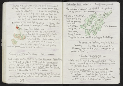 Journal entry for 15th - 17th October 2013, Sitooterie 