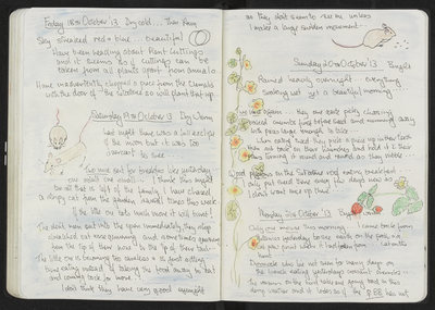 Journal entry for 18th - 21st Oct 2013, Sitooterie 2
