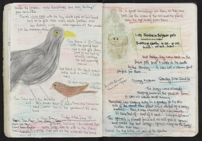 Journal entry for 28th-30th June 2012